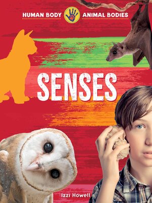 cover image of Senses